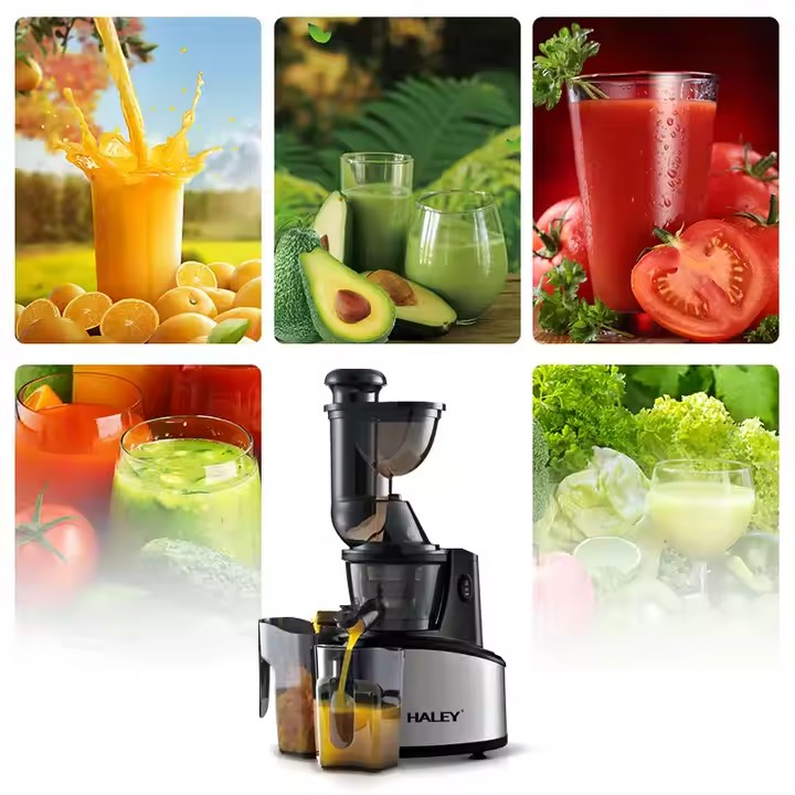 Storcător Electric Fructe și Legume HALEY 250W – Zgomot Redus, Eficiență Ridicată, 500ml, Design Modern cu Funcții Avansate